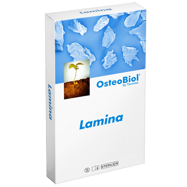 lamina-1.png