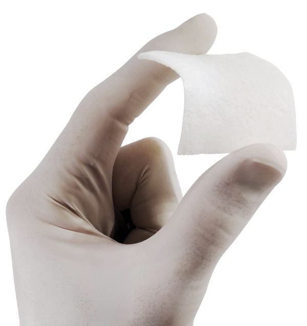 lamina3.png